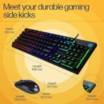 WIRED KEYBOARD MOUSE COMBO KM300F HP (8AA01AA) - Image 6